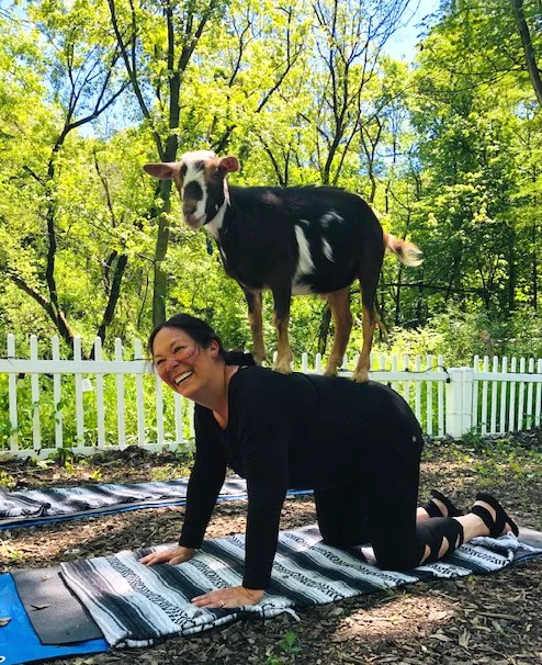 Nature's Trail Yoga Picture 5