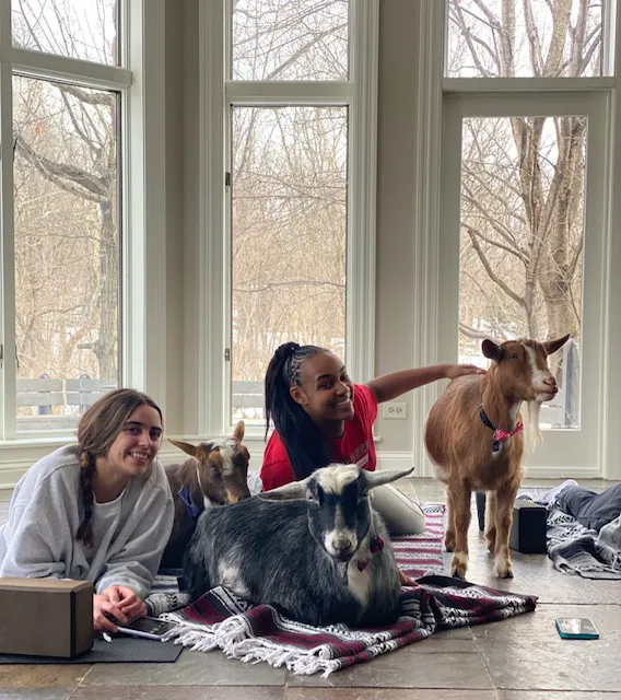 Nature's Trail Yoga Picture 1