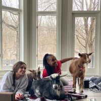 Nature's Trail Yoga ico