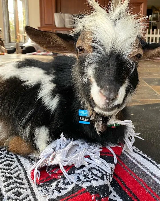 Nature's Trail Yoga Picture 2