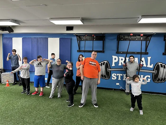 Primal Elite Fitness Picture 1