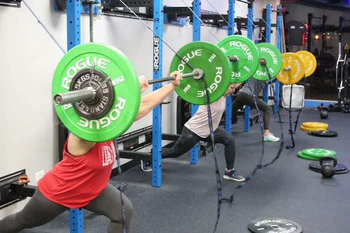 Primal Elite Fitness Picture 10