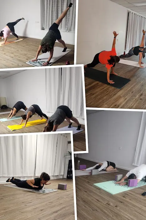 YogaB-Lates Institute Picture 6