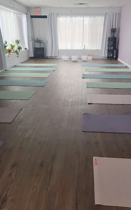 YogaB-Lates Institute Picture 5