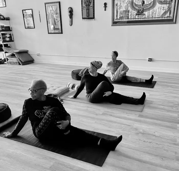 YogaSkills Kemetic Yoga Studio Bronzeville Picture 6