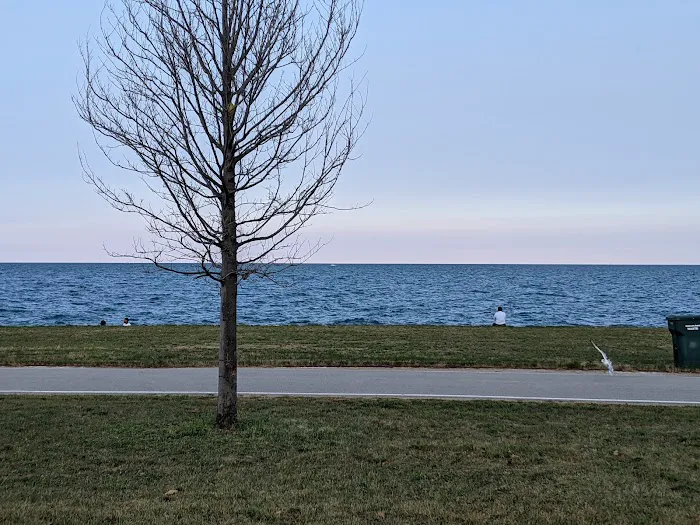 Burnham Park Outdoor Fitness Station Picture 8