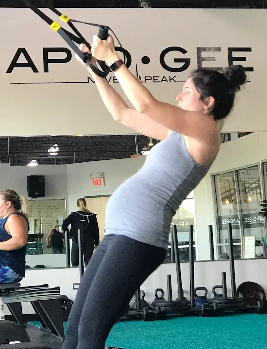 Apogee Fitness- New Lenox Picture 4