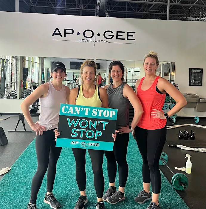 Apogee Fitness- New Lenox Picture 10