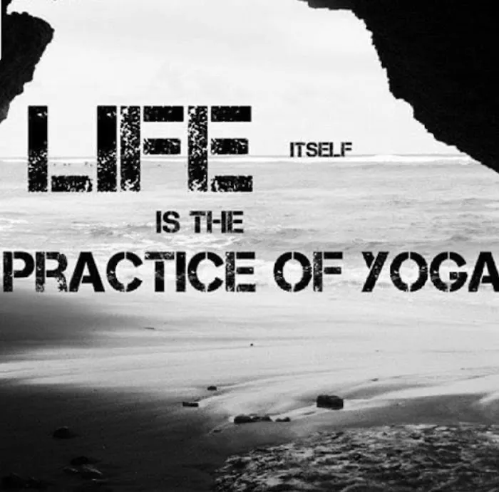 Yoga at Connie's Picture 5