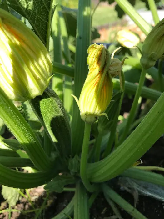 Jane's House of Well Being Picture 5