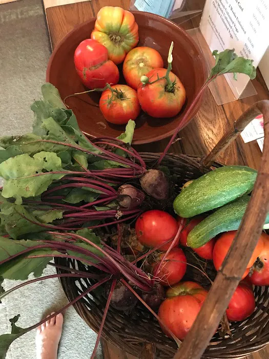 Jane's House of Well Being Picture 8