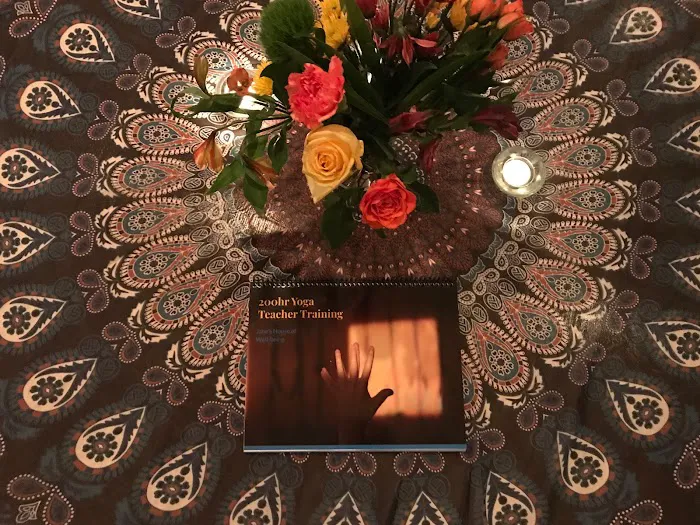 Jane's House of Well Being Picture 7