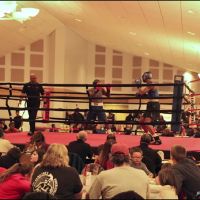 The Boxing Therapy LLC ico