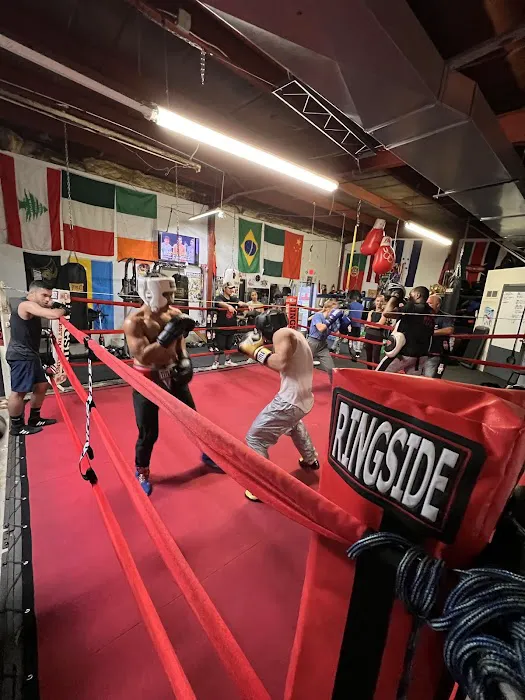 The Boxing Therapy LLC Picture 6