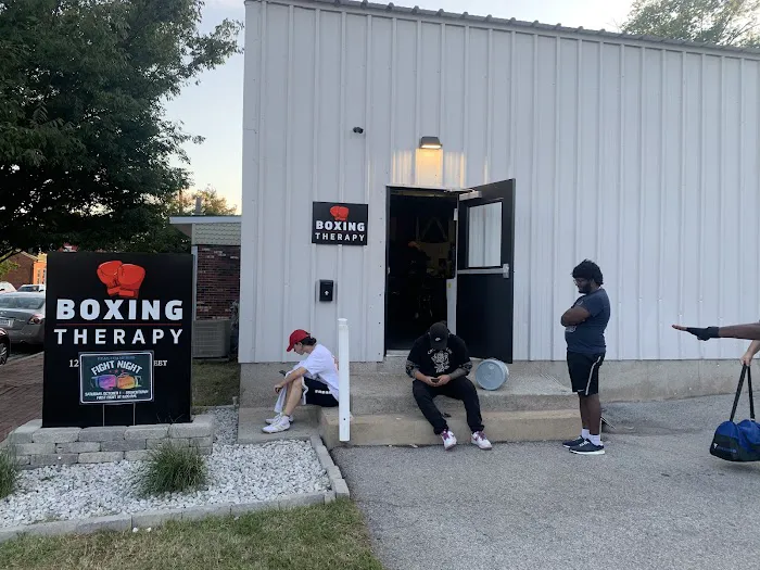 The Boxing Therapy LLC Picture 4