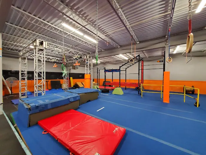 Build A Machine Fitness Picture 9