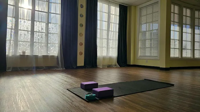 MANDALA Yoga & Wellness Picture 3