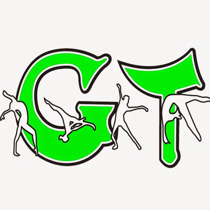 G T Performance Gymnastics Training Center Picture 4