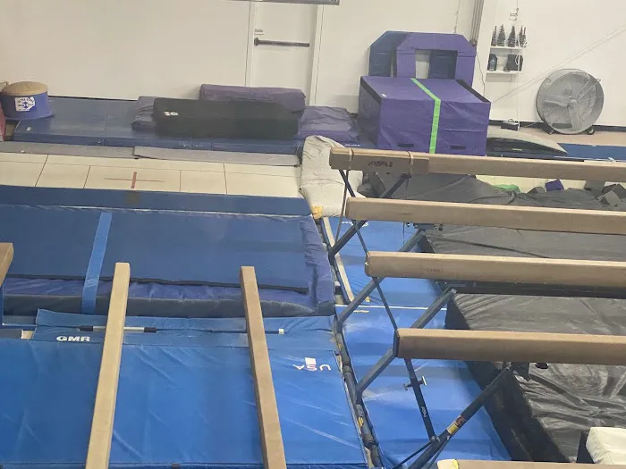 G T Performance Gymnastics Training Center Picture 1