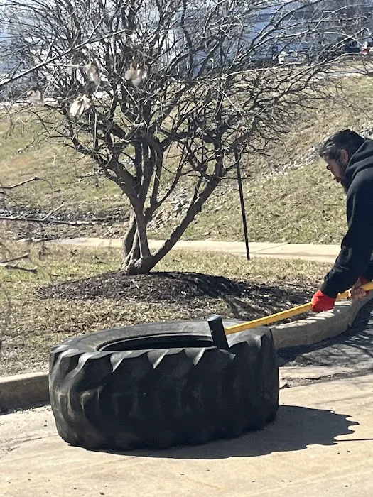 Too Good Boxing Picture 8