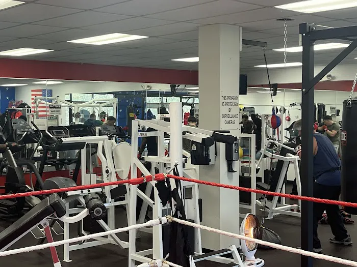 Too Good Boxing Picture 6