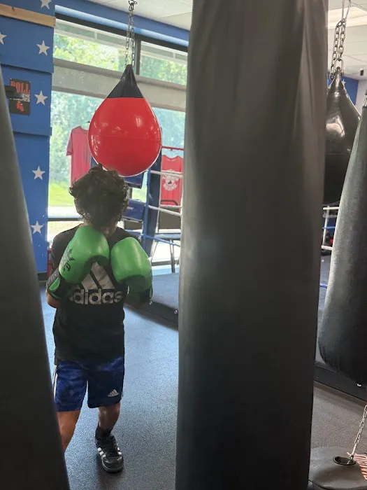 Too Good Boxing Picture 5