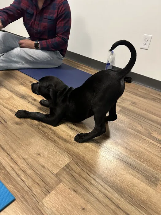 Energy Yoga Studio Picture 8