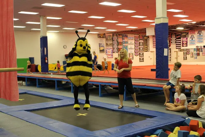 Olympia Gymnastics - Mid Rivers Picture 1