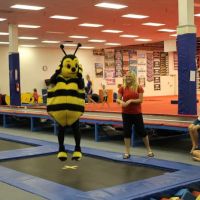 Olympia Gymnastics - Mid Rivers ico