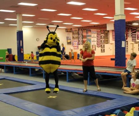 Olympia Gymnastics - Mid Rivers