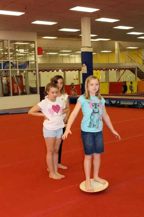 Olympia Gymnastics - Mid Rivers Picture 4