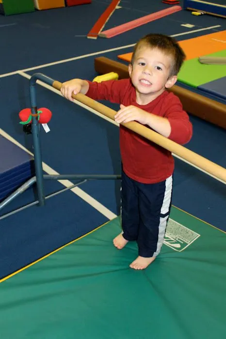 Olympia Gymnastics - Mid Rivers Picture 2