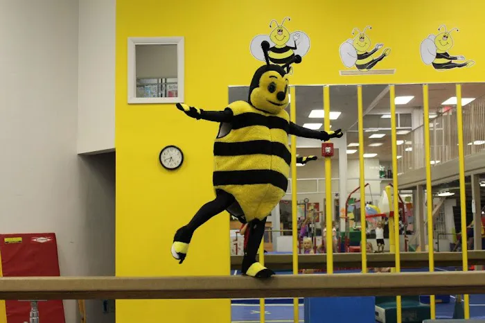 Olympia Gymnastics - Mid Rivers Picture 8