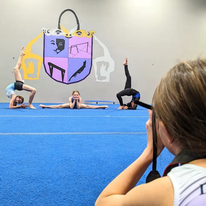 Dreamflight Theatrical Gymnastics, Inc. Picture 1