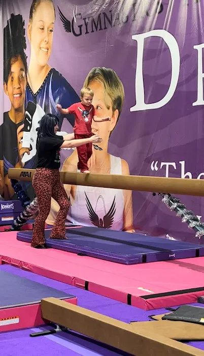 Dreamflight Theatrical Gymnastics, Inc. Picture 4