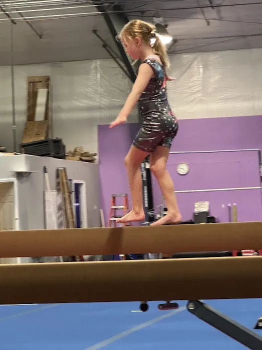 Dreamflight Theatrical Gymnastics, Inc. Picture 7