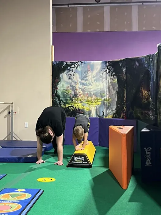 Dreamflight Theatrical Gymnastics, Inc. Picture 9