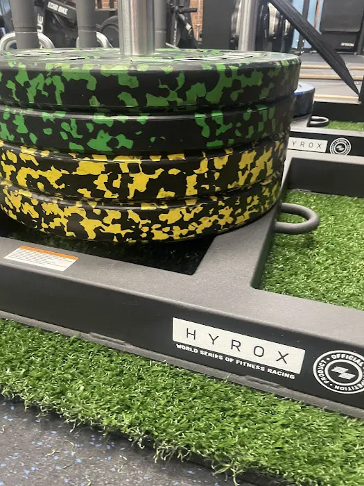 Dominate Today Picture 4