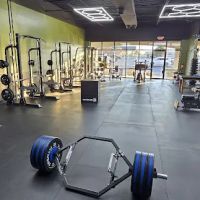 Freedom Fitness O'Fallon ico