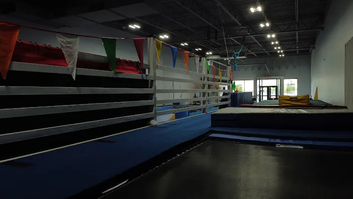 Hi-NRG Gymnastix - O'Fallon Picture 7