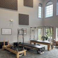 Pilates & Precision Fitness ico