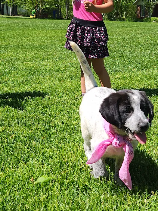 Resilient Boxing Picture 8