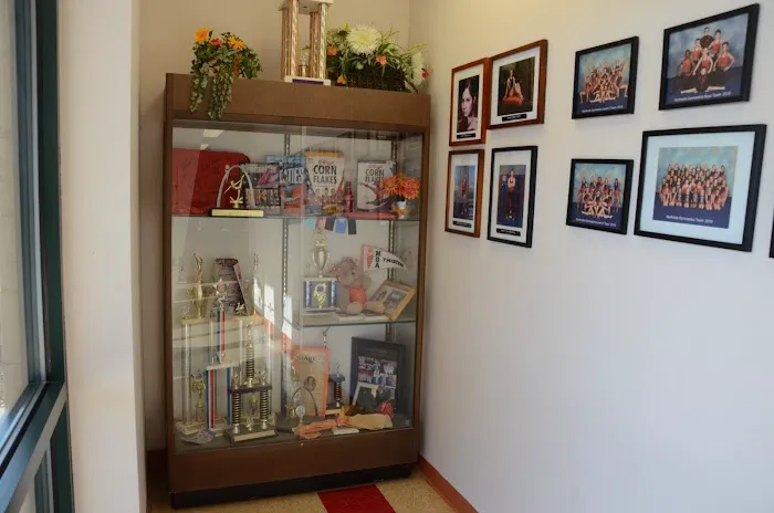 Northside Gymnastic Academy Picture 8