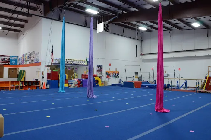 Northside Gymnastic Academy Picture 7