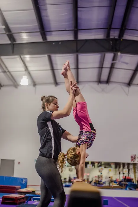 Greater Buffalo Gymnastics Center Picture 2