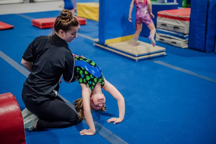 Greater Buffalo Gymnastics Center Picture 3
