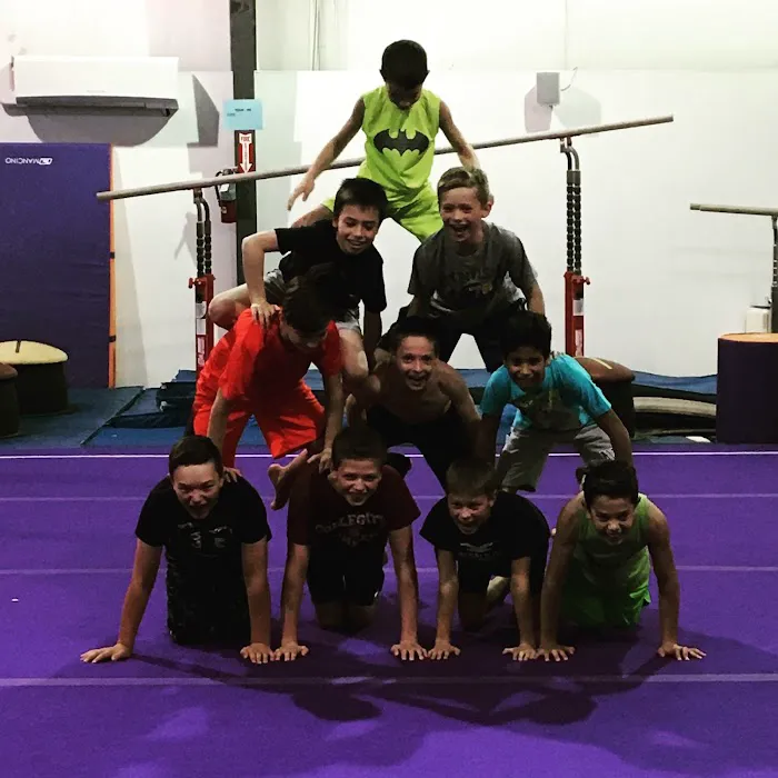Greater Buffalo Gymnastics Center Picture 6