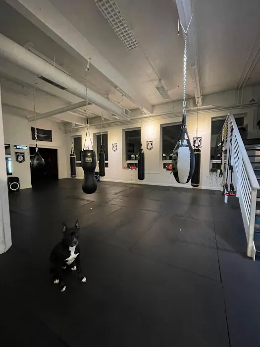 Johnny's Boxing & Fitness Picture 9