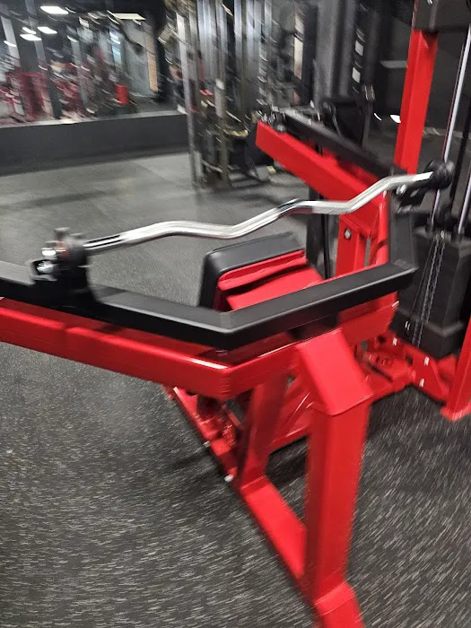 ProMuscle Lifting Club Picture 2