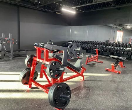 ProMuscle Lifting Club